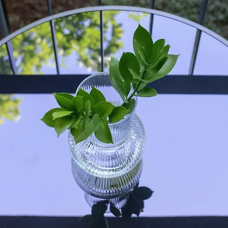 Daire With Balcony Kalwaryjska 34 Street *